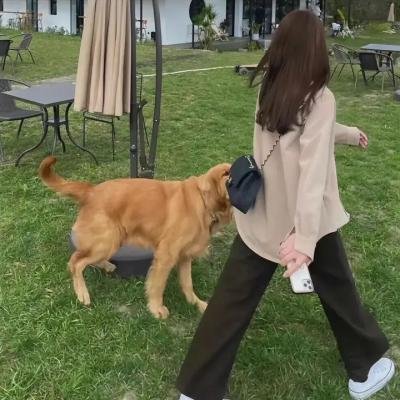骚动时节的少女们啊