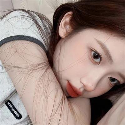 几度菊花香
