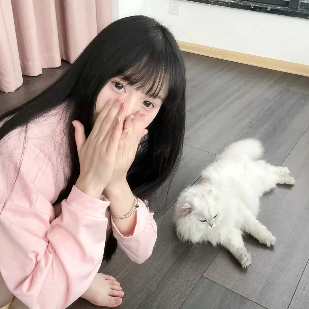泡芙小姐第四季